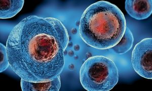 Leia mais sobre o artigo Células-tronco: relação com a tumorigênese cerebral, prognóstico e terapia