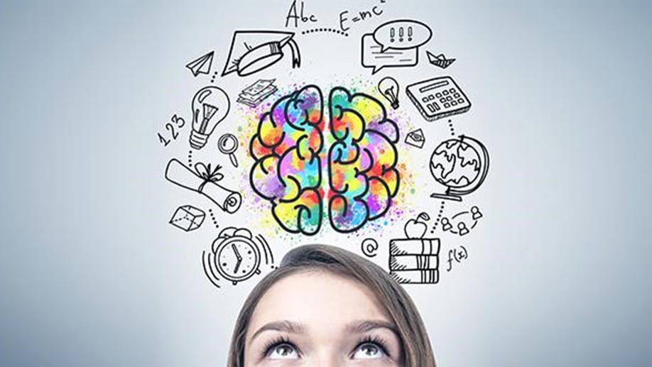 Leia mais sobre o artigo Contribuição da Neurociência à aprendizagem efetiva