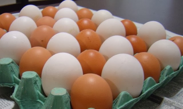 Leia mais sobre o artigo Diferenças entre o ovo de granja e o ovo caipira