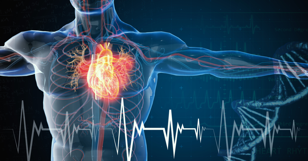 Leia mais sobre o artigo Nutrição na prevenção das doenças cardiovasculares