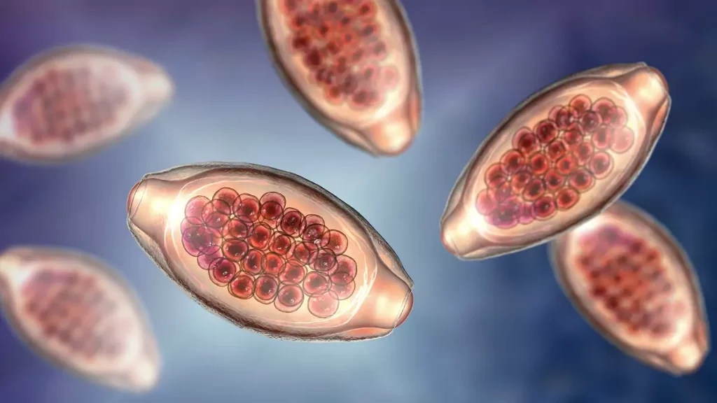 Leia mais sobre o artigo Conversando sobre Parasitologia