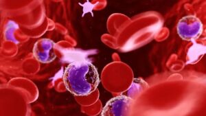 Leia mais sobre o artigo O estudo microscópico das células sanguíneas: integração do ensino teórico e prático na formação do médico-veterinário