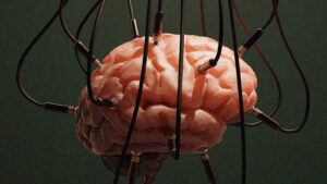 Leia mais sobre o artigo Inteligência natural e direito