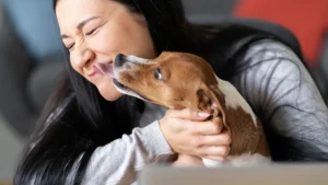 Leia mais sobre o artigo A importância dos animais de suporte emocional