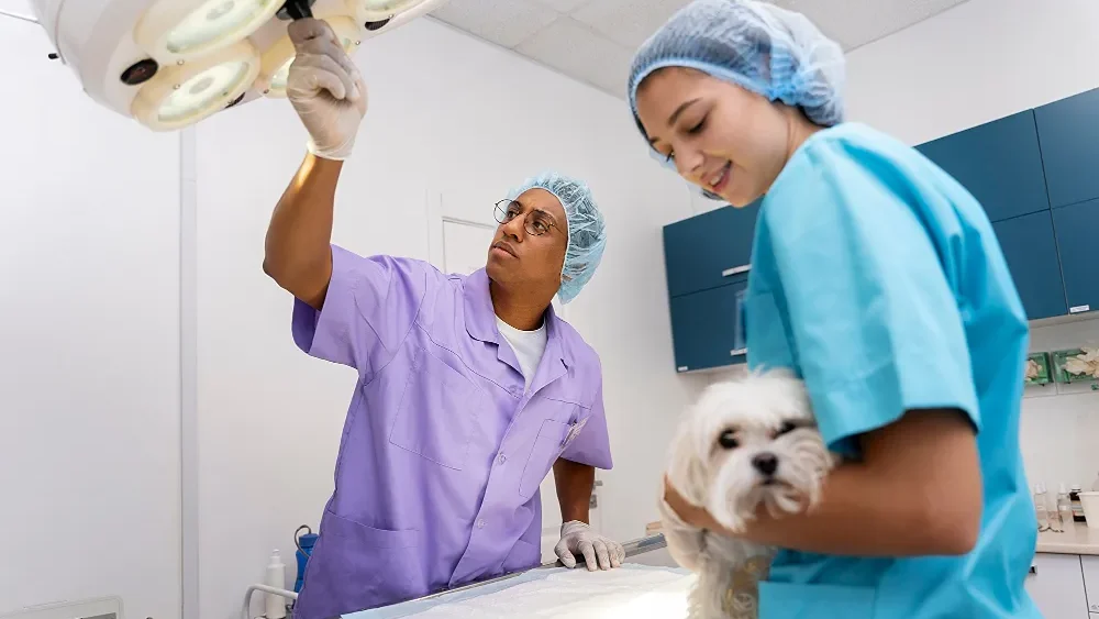 No momento, você está visualizando A Medicina Veterinária de pets não convencionais no Brasil: desafios de uma área em consolidação