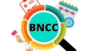 Leia mais sobre o artigo Implementação da BNCC e os temas contemporâneos transversais (TCTS)