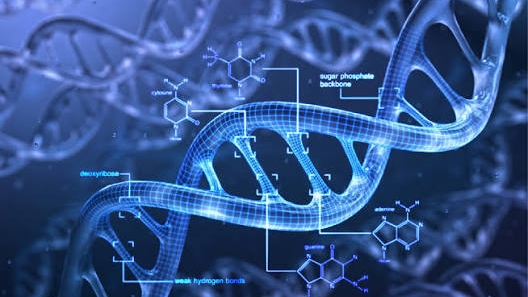 No momento, você está visualizando Conhecer o próprio DNA pode mudar a forma que cuidamos da saúde?