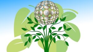 Leia mais sobre o artigo O reconhecimento de passivos ambientais como tema central da Contabilidade Socioambiental