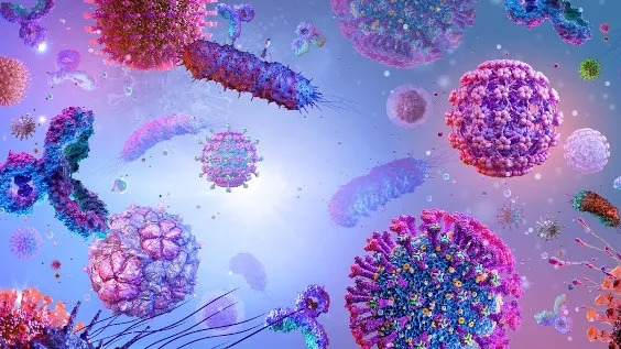 No momento, você está visualizando A importância da Microbiologia Básica na formação dos discentes