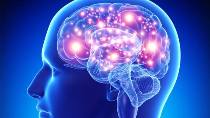 No momento, você está visualizando Neurociência e Educação: uma revolução necessária