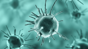 Leia mais sobre o artigo Parasitologia em foco: teoria, prática e formação profissional