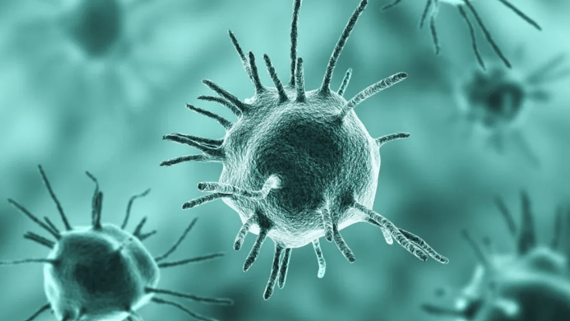 No momento, você está visualizando Parasitologia em foco: teoria, prática e formação profissional