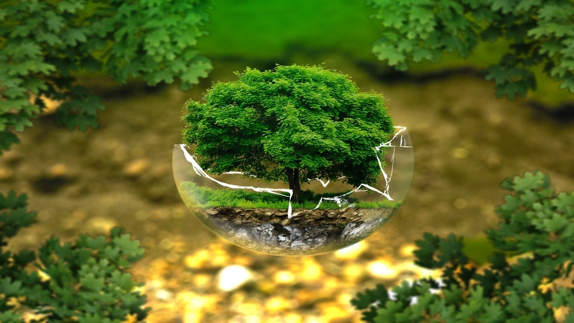 No momento, você está visualizando Litigância climática e a efetividade da proteção ambiental