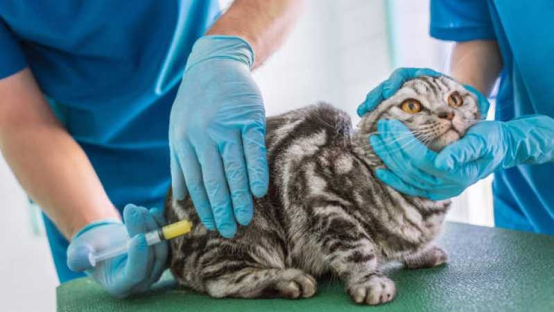 No momento, você está visualizando Uso racional de antibióticos e resistência antimicrobiana na Medicina Veterinária